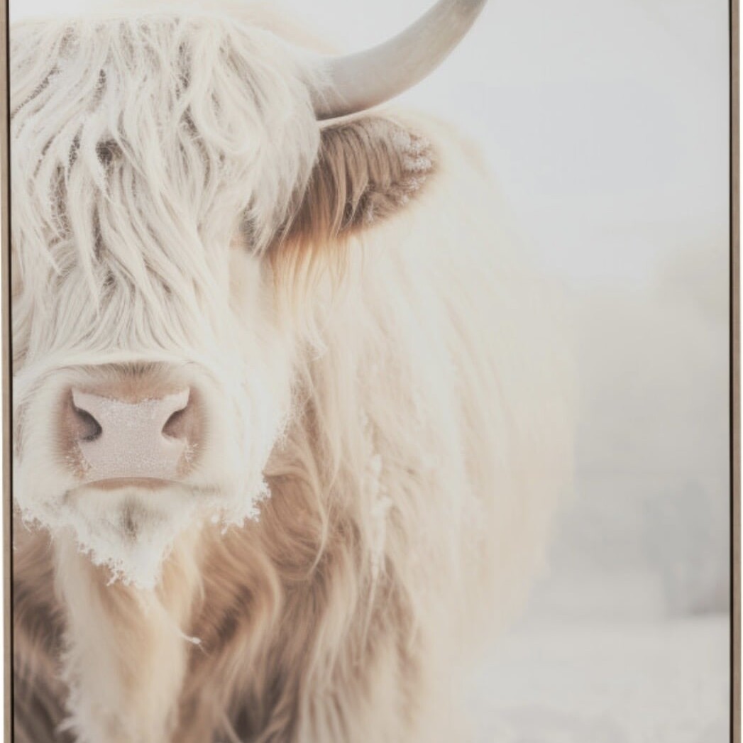 Cadre Murale Tête Yacht