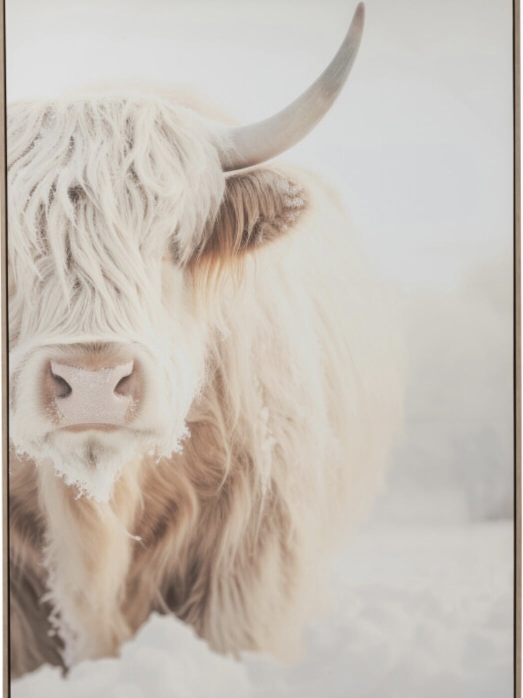 Cadre Murale Tête Yacht