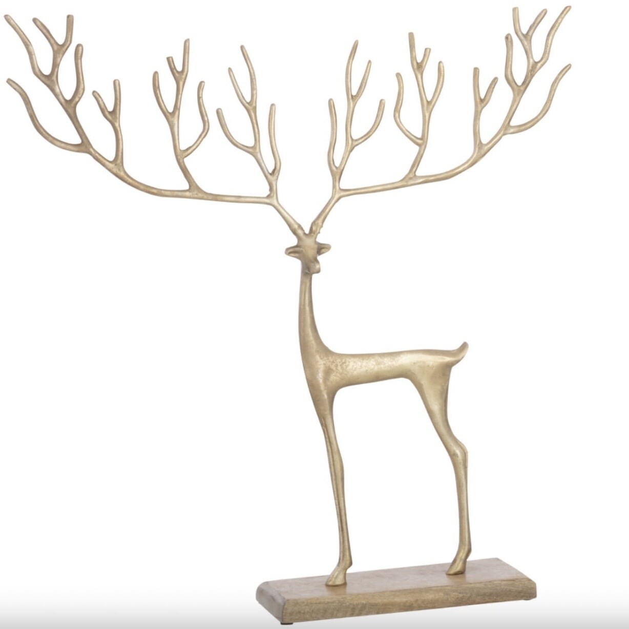 Renne Sur Pied Graphique