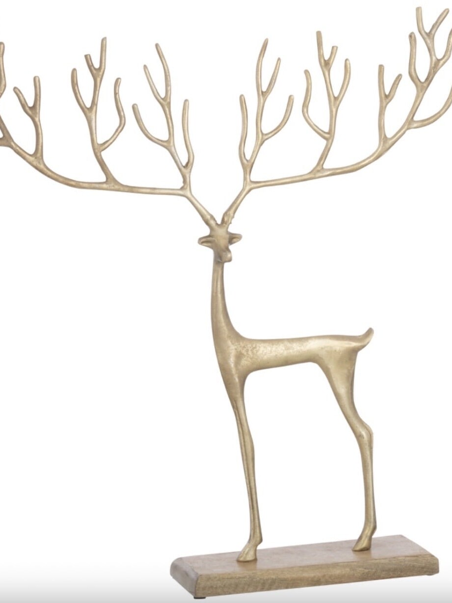 Renne Sur Pied Graphique